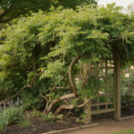 découvrez les raisons pour lesquelles votre glycine ne fleurit pas et apprenez les conseils essentiels pour favoriser sa floraison abondante et éclatante.