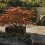 Érable du Japon et bambou : plantes pour jardins japonais dans un jardin zen kare-sansui