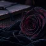 Signification rose noire : rose bordeaux sombre sur velours noir