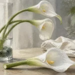 Composition florale avec arum blancs en vase étroit, tiges arquées et gouttes d’eau