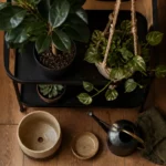 Support plantes intérieur en métal pour ficus et pothos en pot